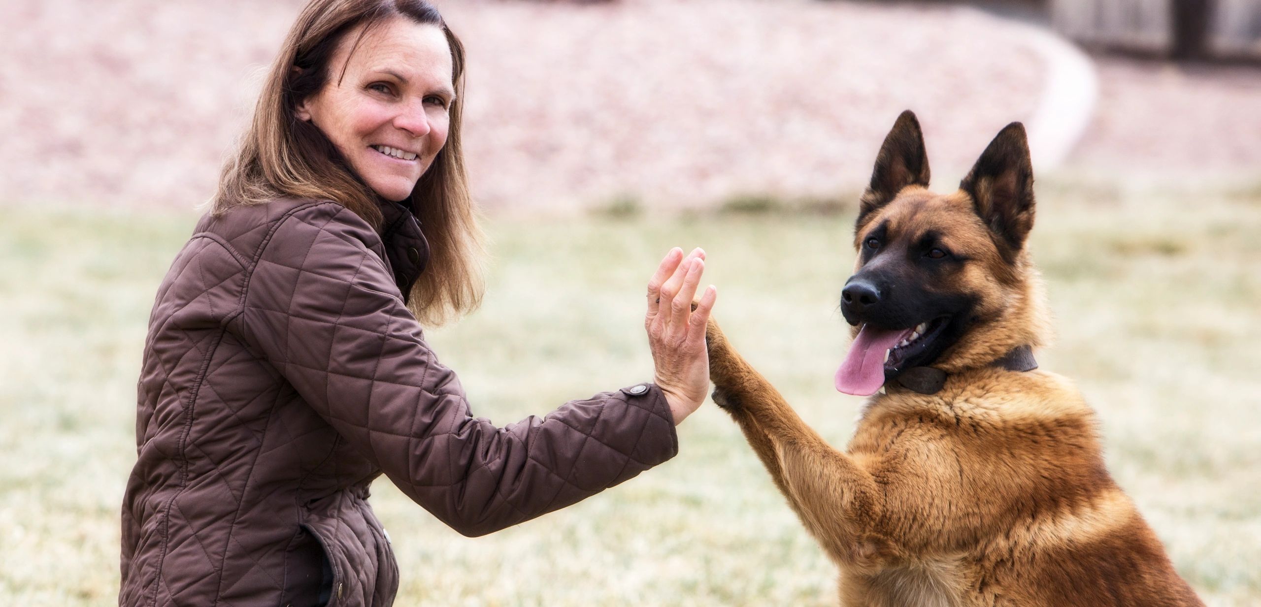 Canine Training Academy